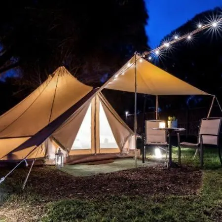 럭셔리텐트 Camping 아롤라